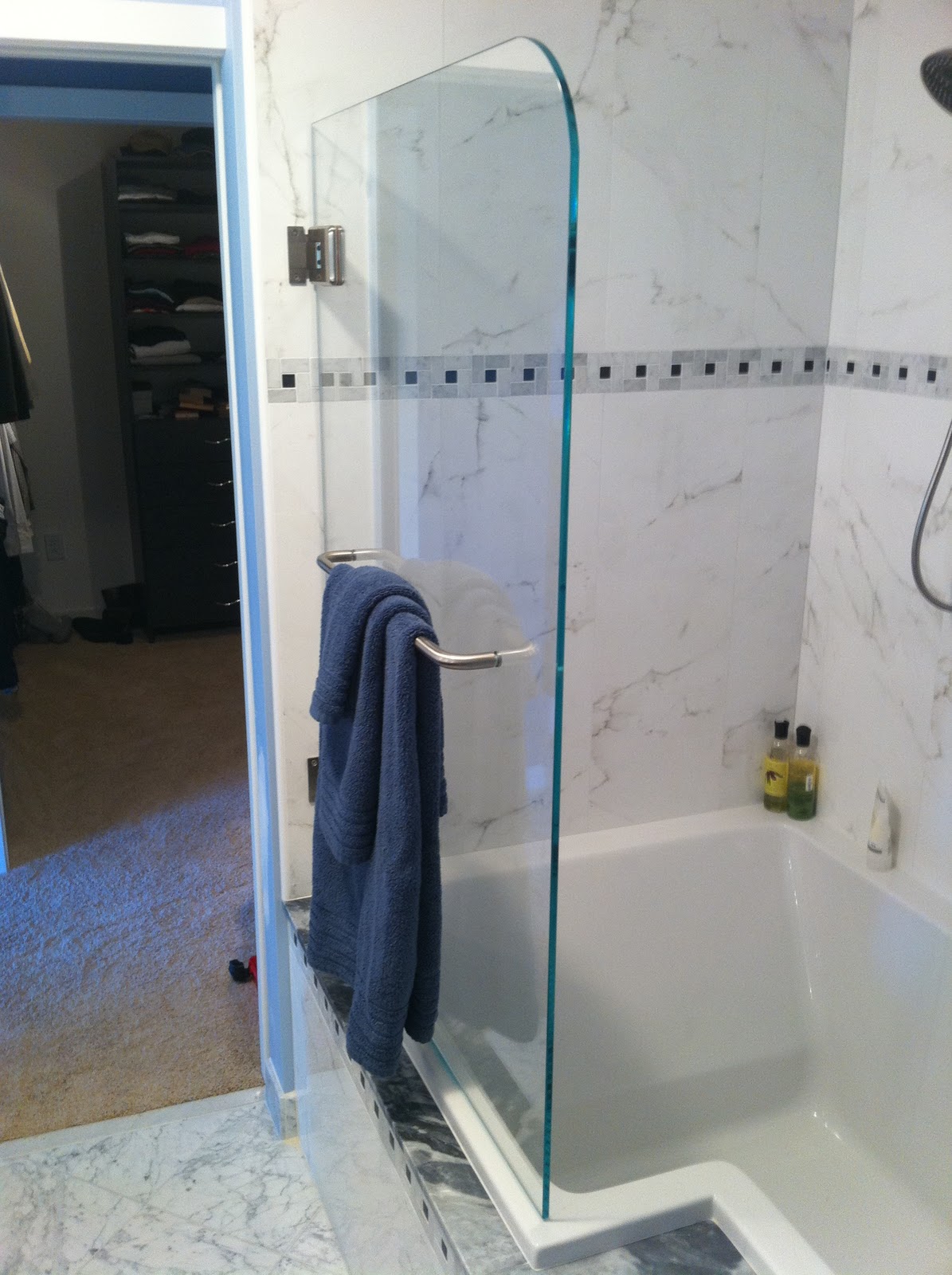 Apex General Contracting - Custom Shower Doors