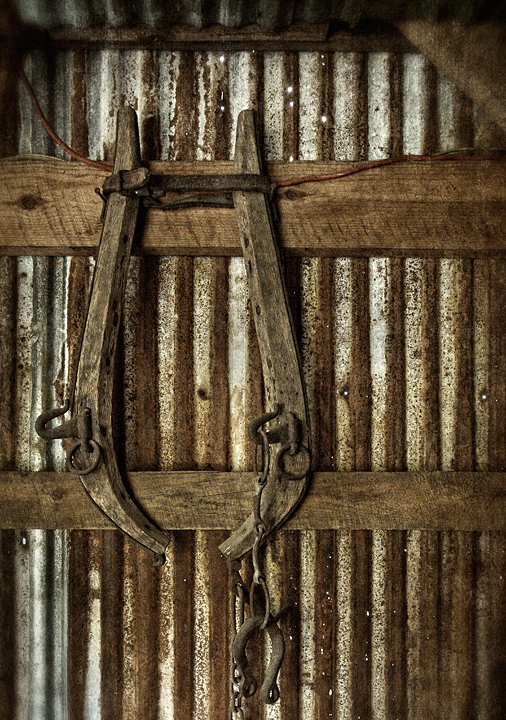 Dan Routh Photography Hames