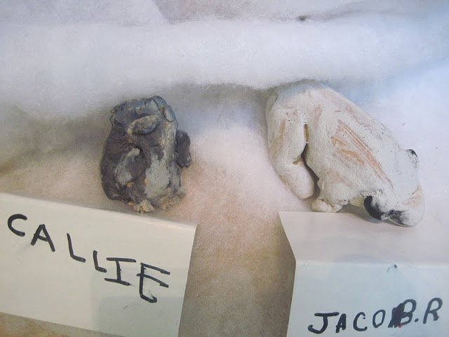 The Wonderful World of Kindergarten: Arctic Animals