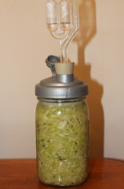 Jar of caraway kraut with air lock on top.