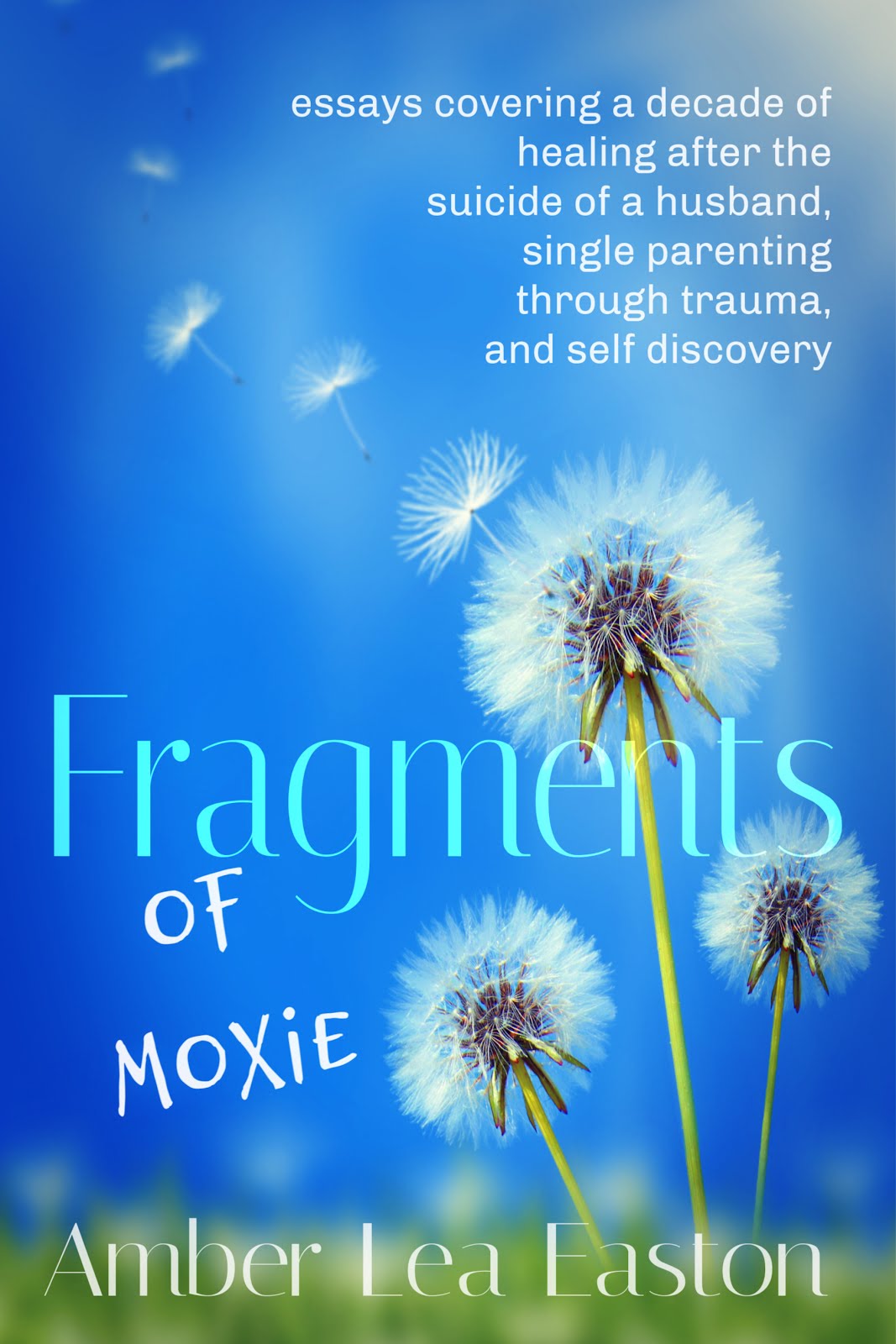 Fragments of Moxie- nonfiction new release