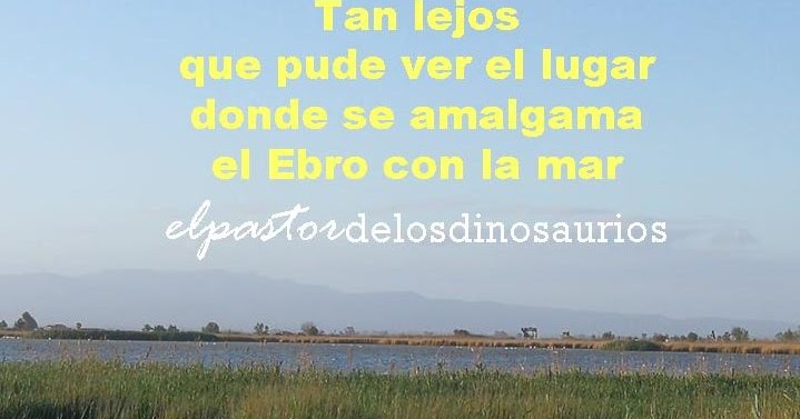 Ilusiones ópticas