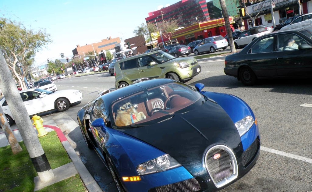 Bugatti Veyron РІ РРЅРґРёРё