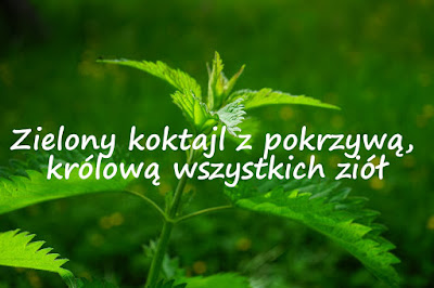 http://zielonekoktajle.blogspot.com/2017/03/zielony-koktajl-z-pokrzywa-krolowa.html