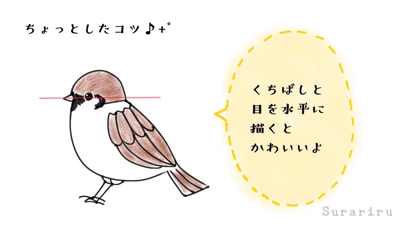 鳥のスズメ（雀）のイラストの簡単な描き方