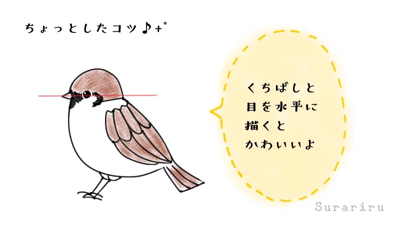 鳥のスズメ 雀 のイラストの簡単な描き方 ボールペンイラストと水彩 遠北ほのかのsurariru