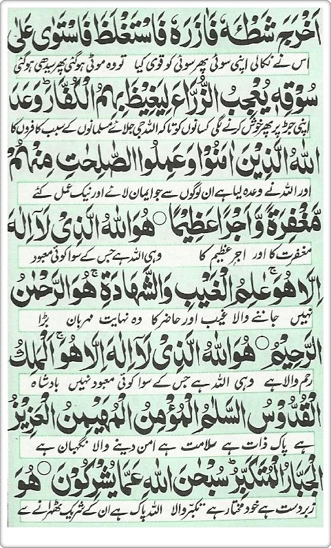 Hizb Hizb