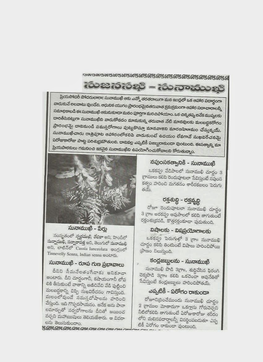 35+ Pipal Ka Patta Clipart PNG