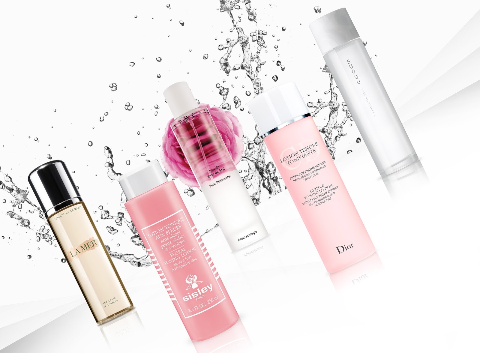 Scenario of Life The Face Toners Manual