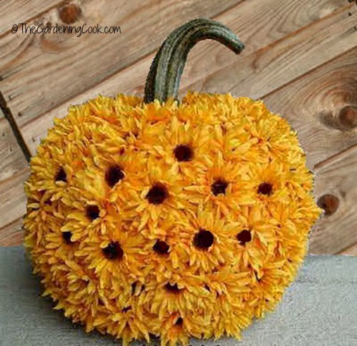 Sunflower Pumpkins from The Gardening Cook