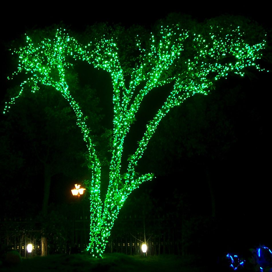 Green Christmas Lights Outdoor