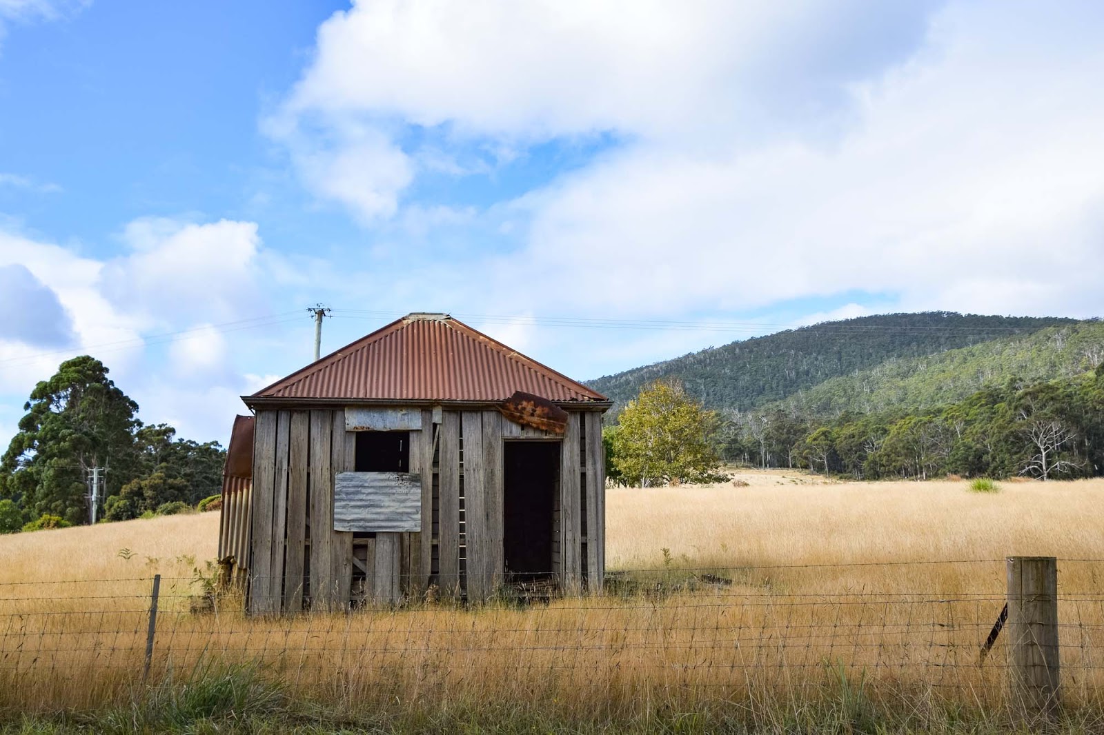 shack on bruny island