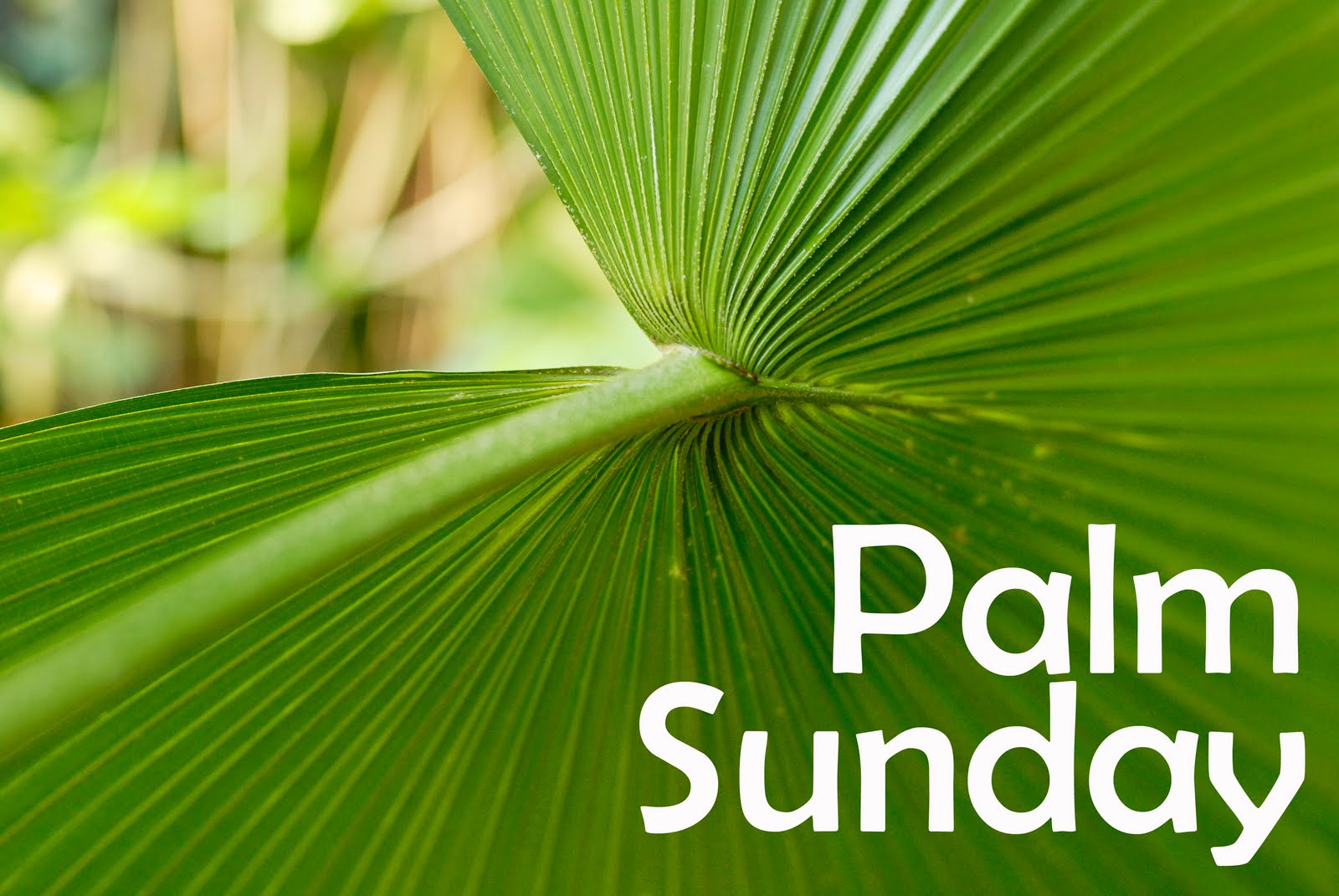 free christian clipart for palm sunday - photo #35