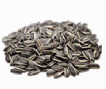 جميع فوائد و اضرار اللب السوري الصيني و المصري