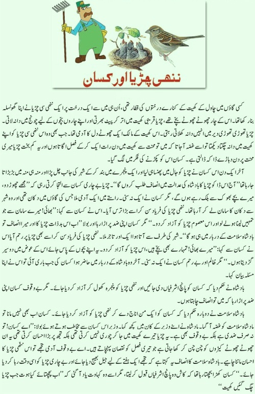 Urdu Collection Ham pakistan hen