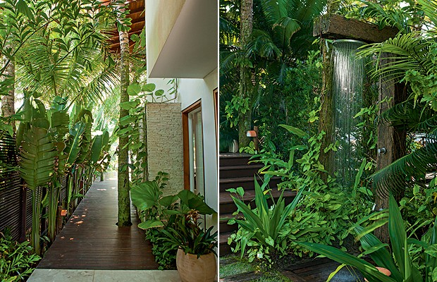 Blog - FGR Urbanismo: Jardim rico em plantas deixam a casa com uma sensação  de tranquilidade e descanso