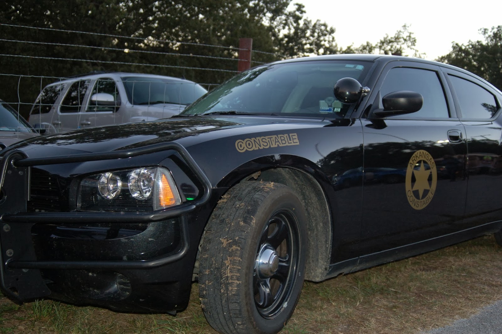 Waiting in the shade sitting on a brick Northwest Arkansas District Fair COP