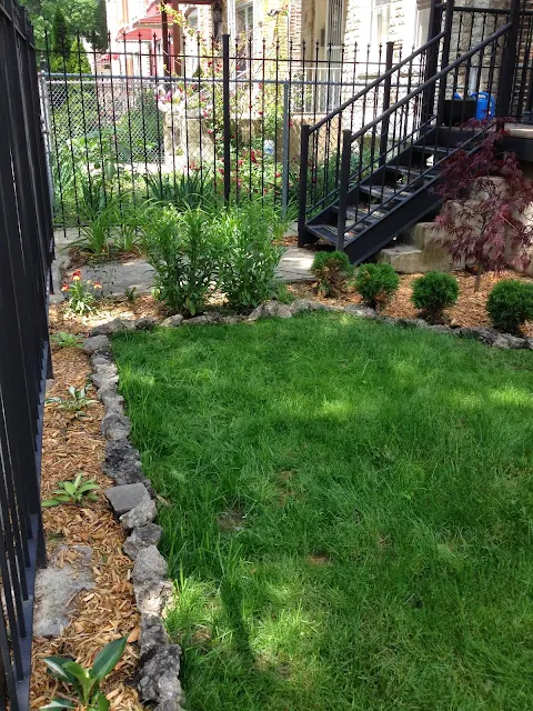 update on front yard look