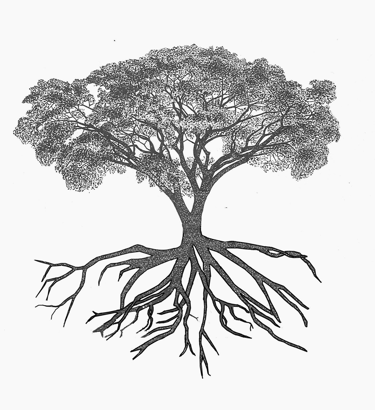 Дерево крона и корни