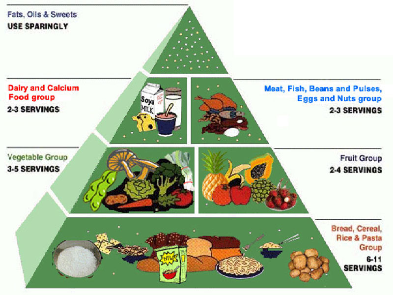 Food Pyramid  Nutrition