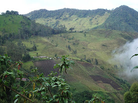 No a la mina 'La Colosa' (Colombia)