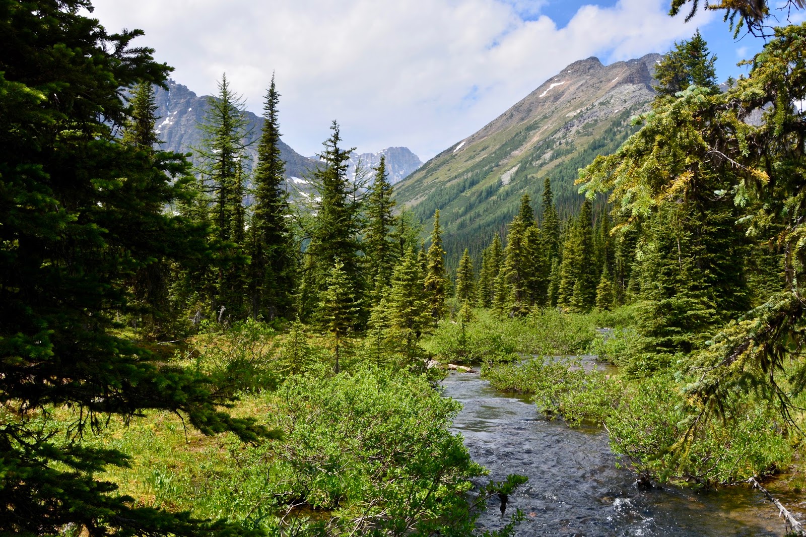 venturing4th Taylor Lake