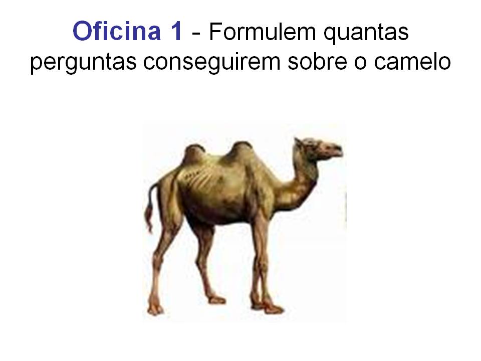 Palavras Que Rimam Com Camelo - LIBRAIN