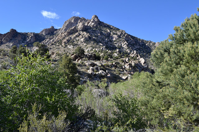 jagged rocks in the late sun