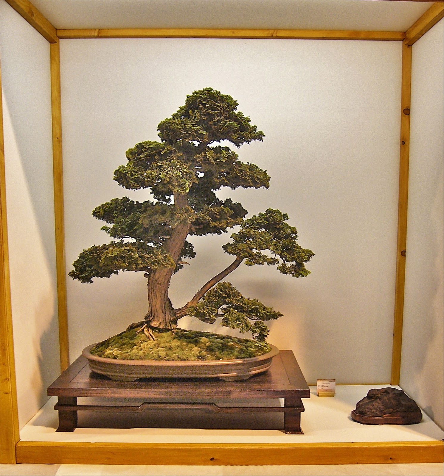 FeelSpiritl'Esprit de Phil.[Bonsaï] EBA Bonsai Exposition
