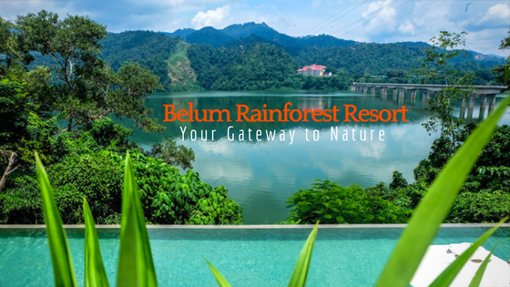 Featured image of post Belum Rainforest Resort Malaysia : Mapmonde.org give opportunity to see right now.