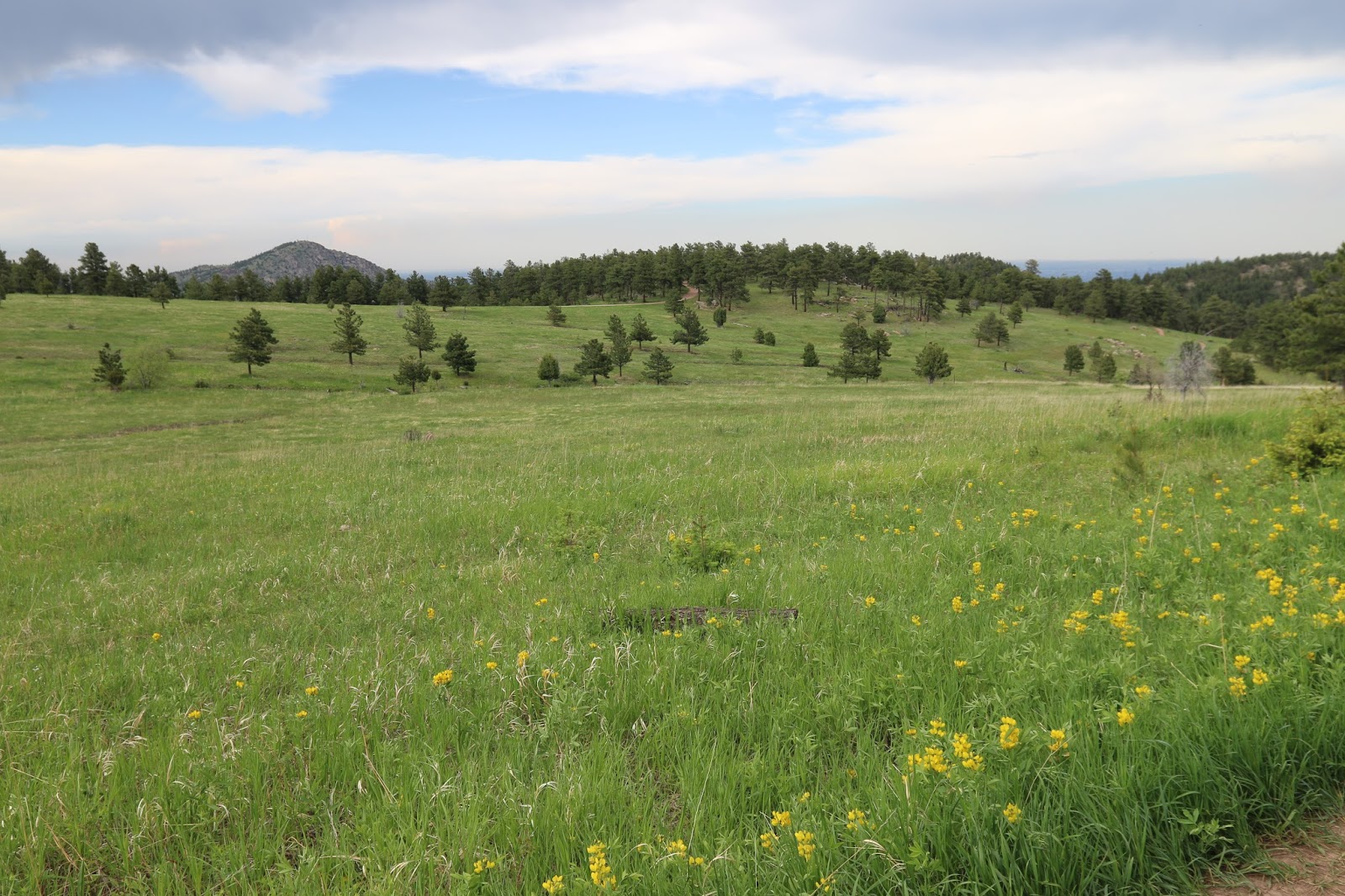 Mount Falcon Park (10)