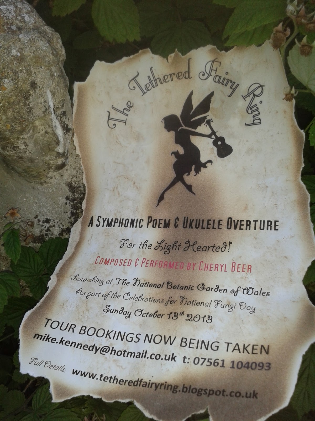 The Tethered Fairy Ring How to join the Fairy Ring