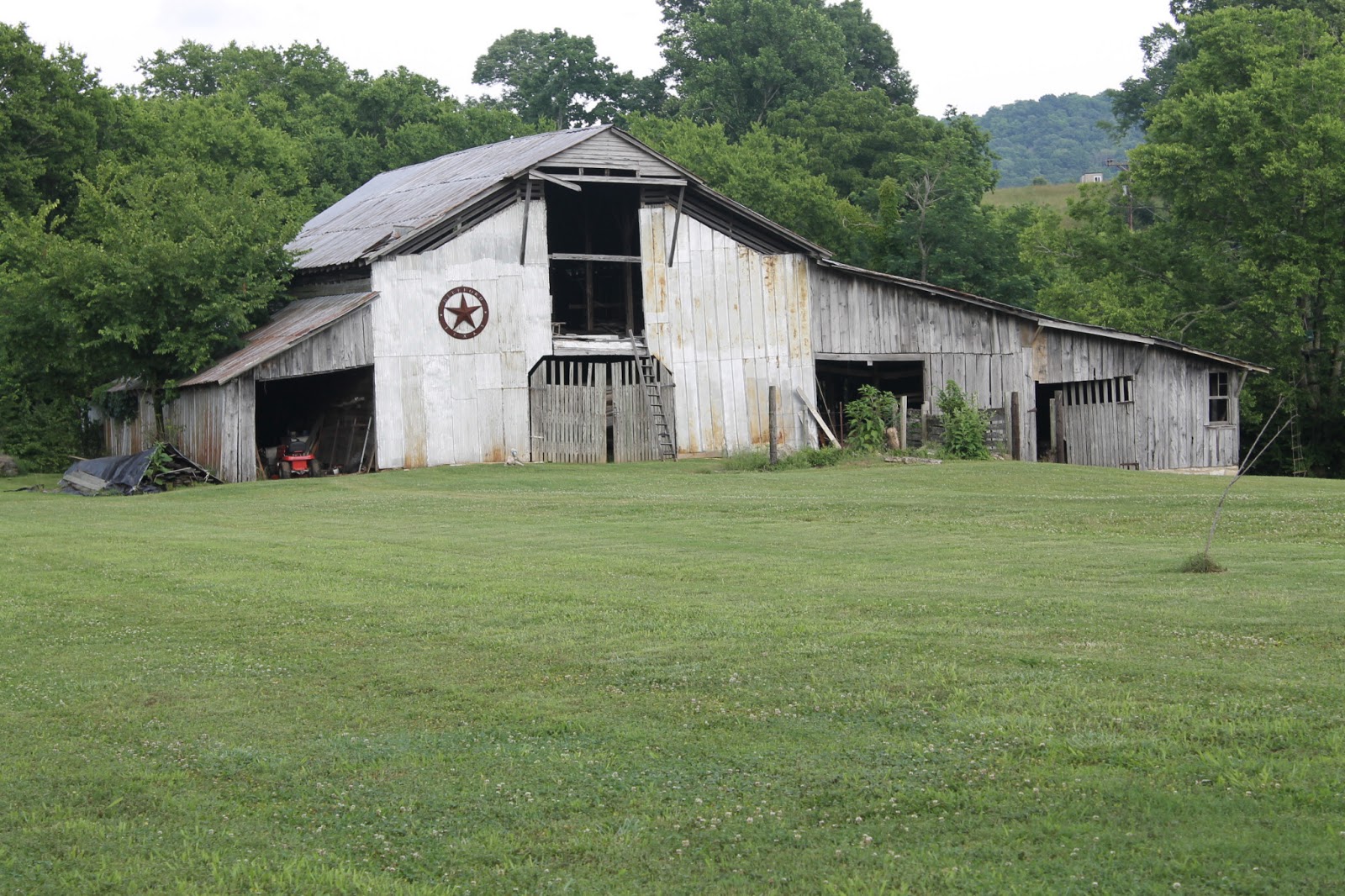 The Niemeyer Nest Pullen Mill Farm