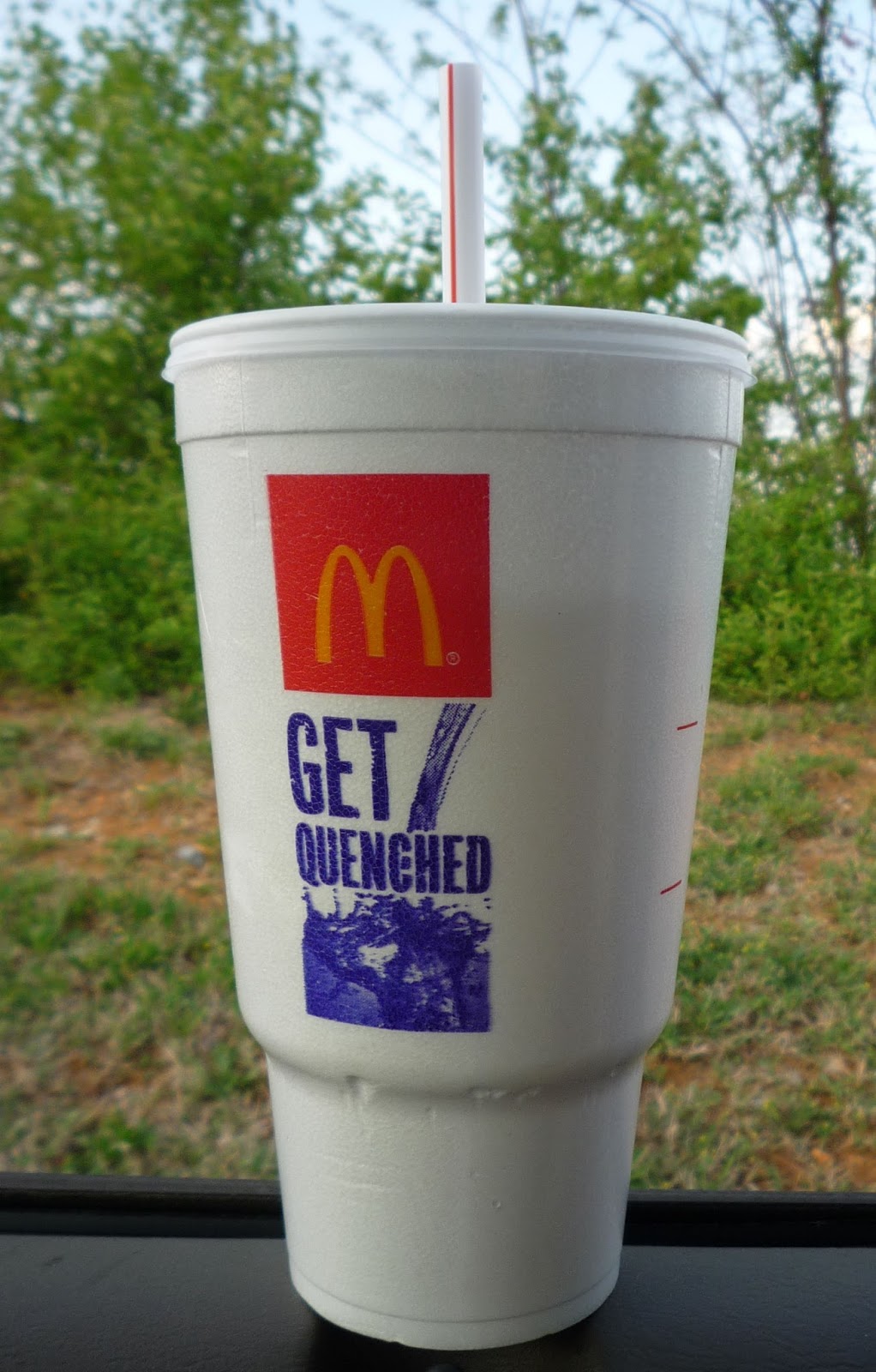 Business Ethics Case Analyses McDonald's Environmentally Unfriendly
