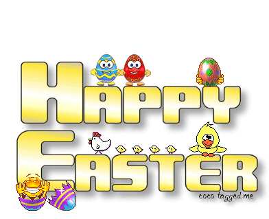 Nubia_group : nowhere else!