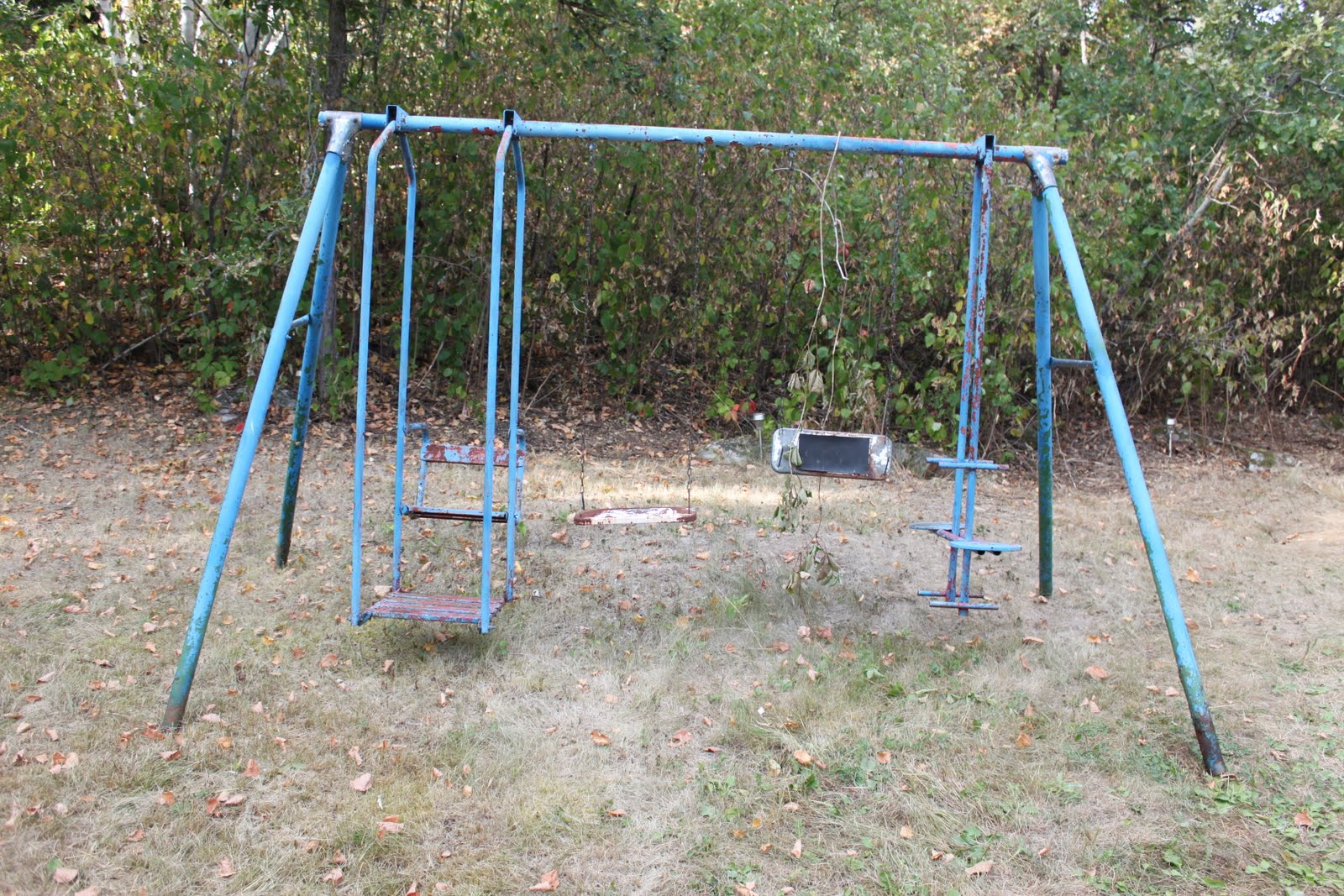 At the Lake Cottage The Old Swing Set