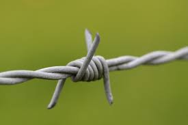 All About Barbed Wire Different Types Of Fencing Barbed Wire Param Visions