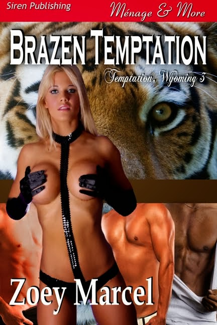 Brazen Temptation (Temptation, Wyoming 3)