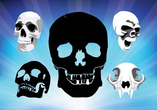 Free Grunge Spooky Skulls Vectors