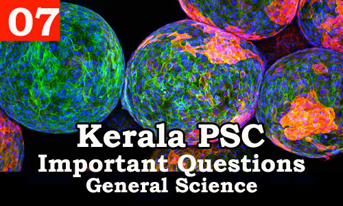 Kerala PSC - Important and Repeated General Science Questions - 07
