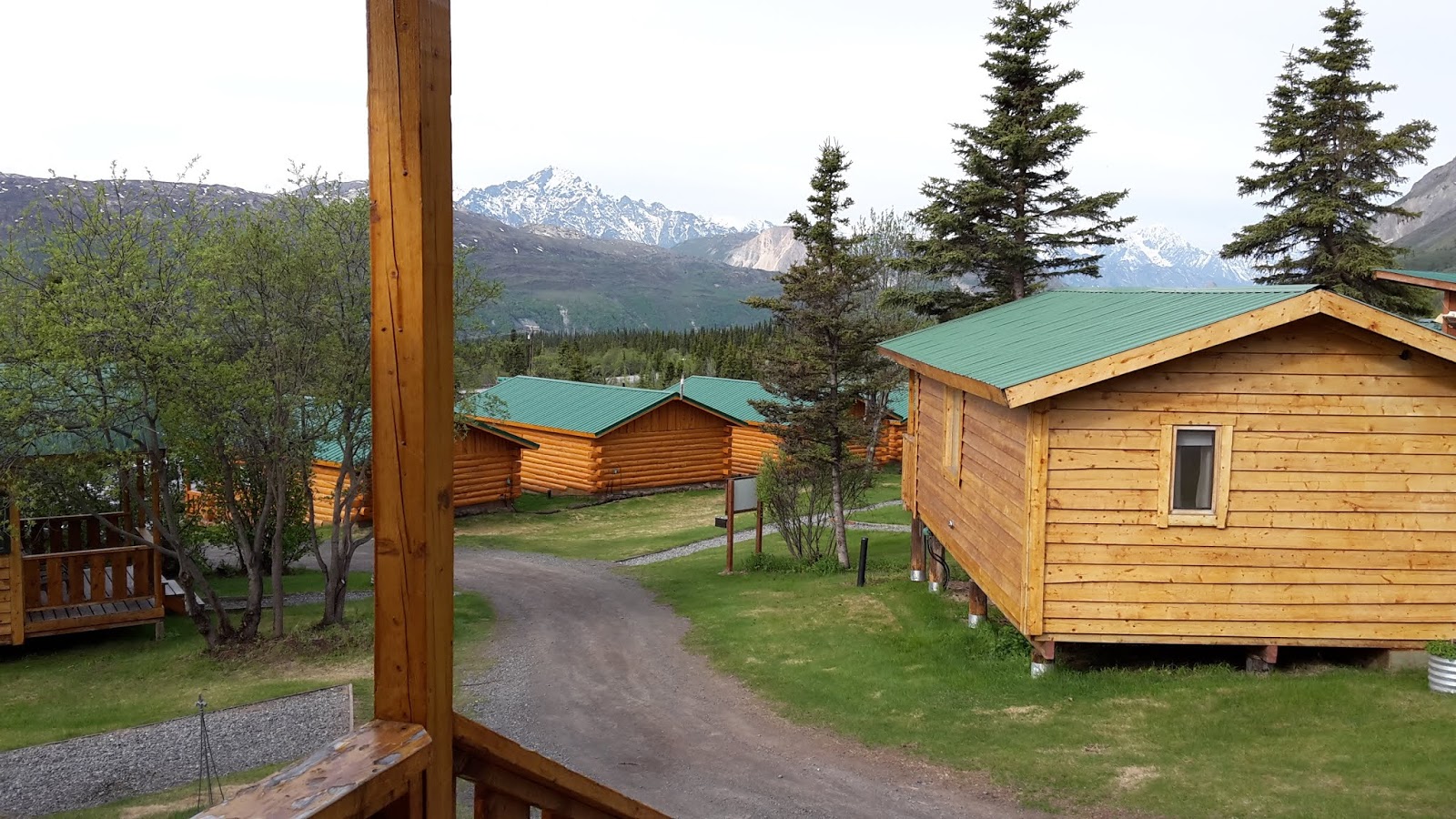 Reise Fräulein Sheep Mountains in Alaska