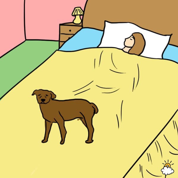Σκύλος κρεβάτι 