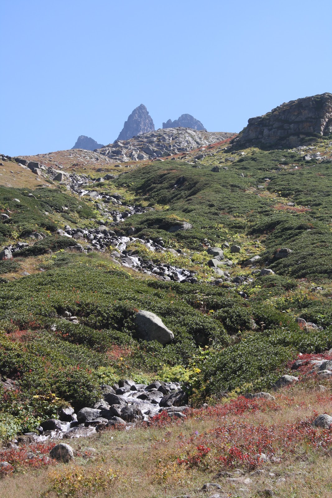 Nature and Science from ALB: Turkey - Kackar Mountains 2