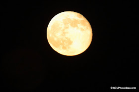 98% full moon rising VII
