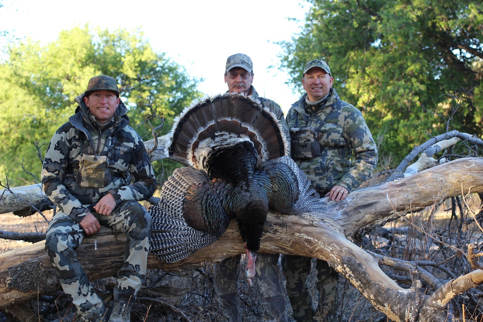 Goulds Turkey Hunt 2016 Gould's Turkey Hunting in MexicoJeff Miller