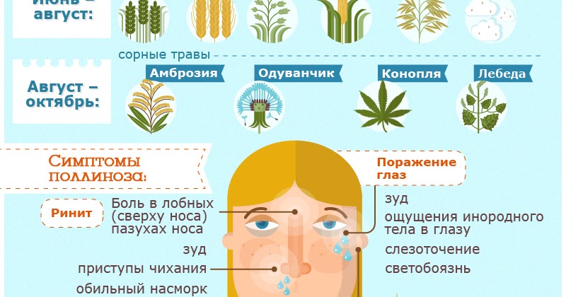Календарь цветения в москве для аллергиков. Аллергия в августе. Аллергия поллиноз. Аллергия на цветение в августе на что. Аллергенные растения список.
