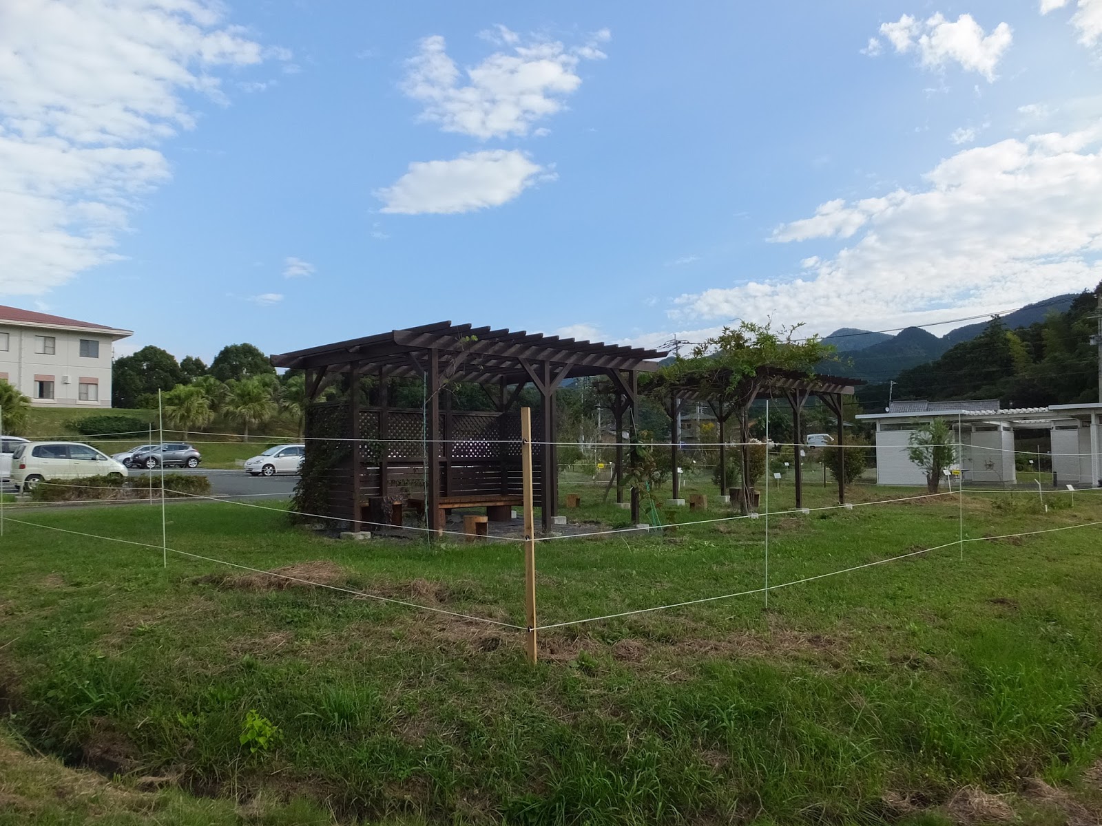 スリ・クルーズ・ホームズのブロガーとしての側面