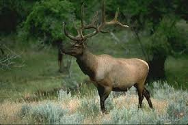 أية وقول وحكمة ليوم 23/ 8