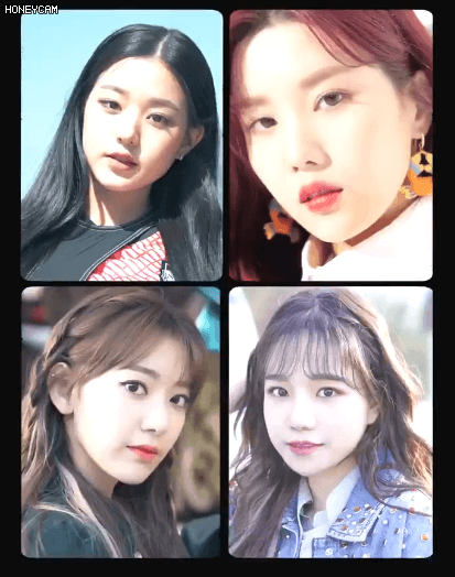 데이즈드 개인컷