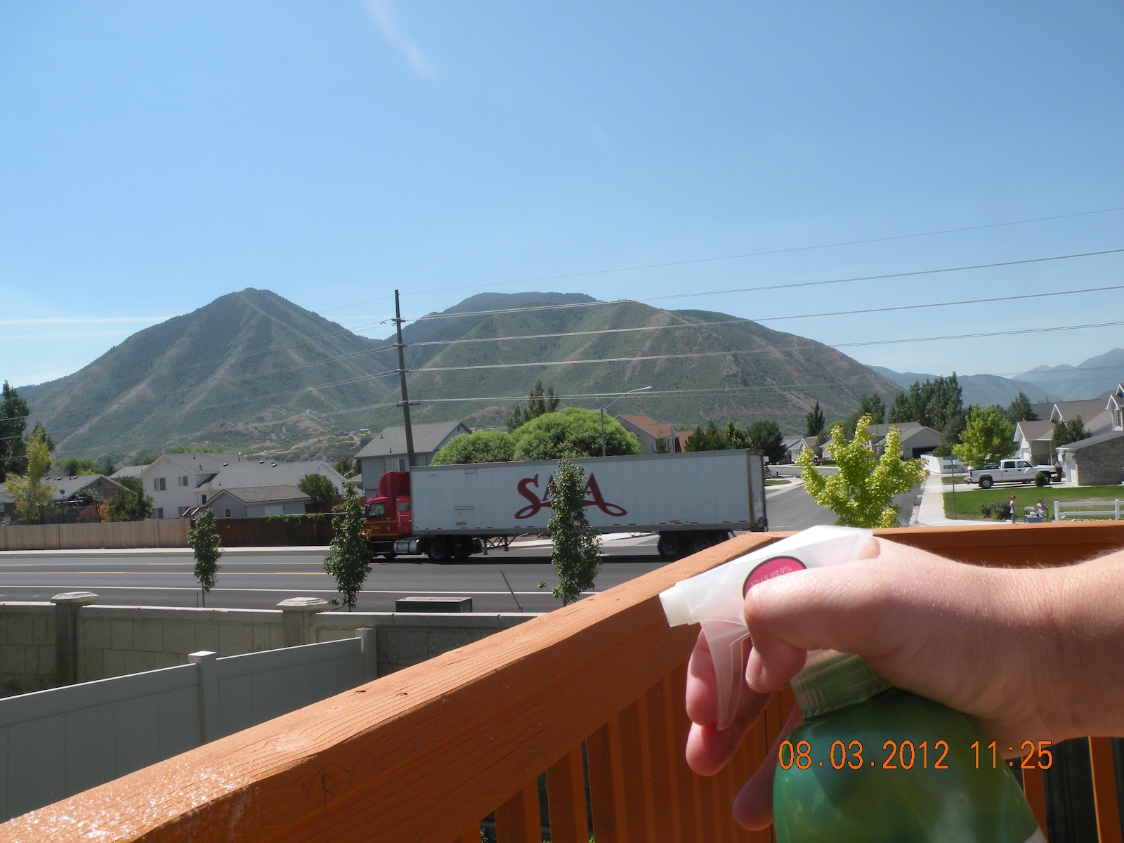 Pintology: Pine Sol as Fly Repellant